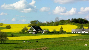 O țară din Europa vrea să reducă taxele și impozitele 