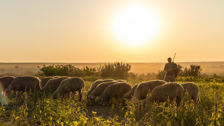 Proiectul fotografic "Discover the routes of life" la a doua ediție: Moldova surprinsă în toată splendoarea ei (FOTO)