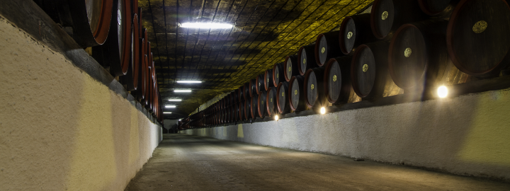 Proiectul fotografic "Discover the routes of life" la a doua ediție: Moldova surprinsă în toată splendoarea ei (FOTO)