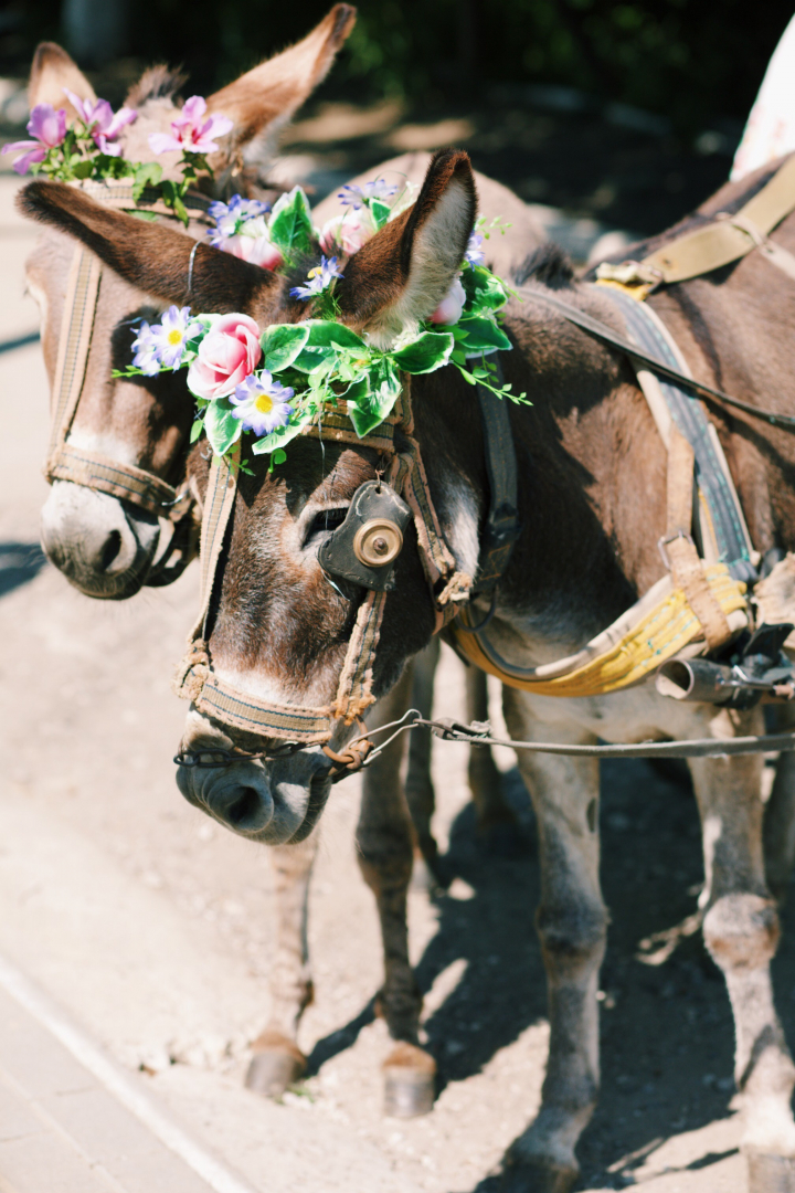 Proiectul fotografic "Discover the routes of life" la a doua ediție: Moldova surprinsă în toată splendoarea ei (FOTO)