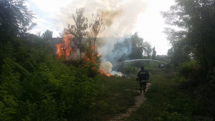 Un nou INCENDIU în Capitală. ARDE DEPOZITUL DE CRENGI din sectorul Botanica (FOTO/VIDEO)