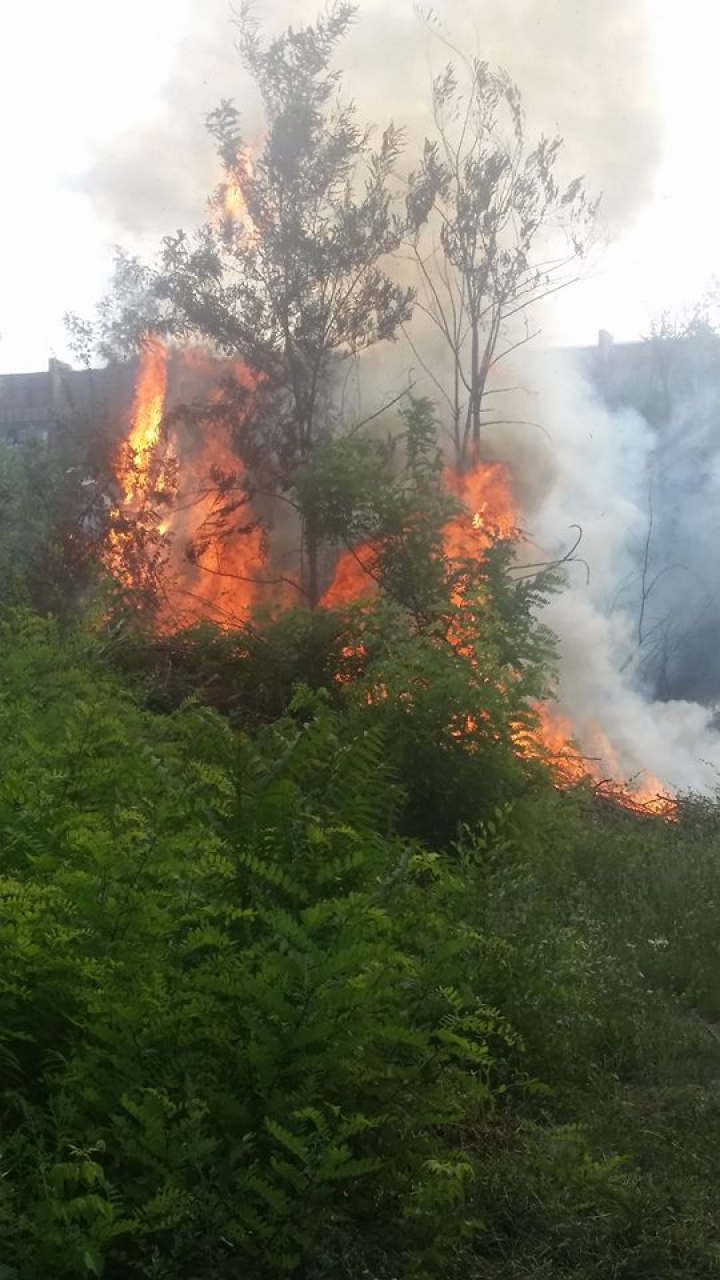 Un nou INCENDIU în Capitală. ARDE DEPOZITUL DE CRENGI din sectorul Botanica (FOTO/VIDEO)