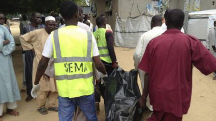 31 de pescari au fost omorâţi pe malul lacului Ciad de gruparea jihadistă Boko Haram