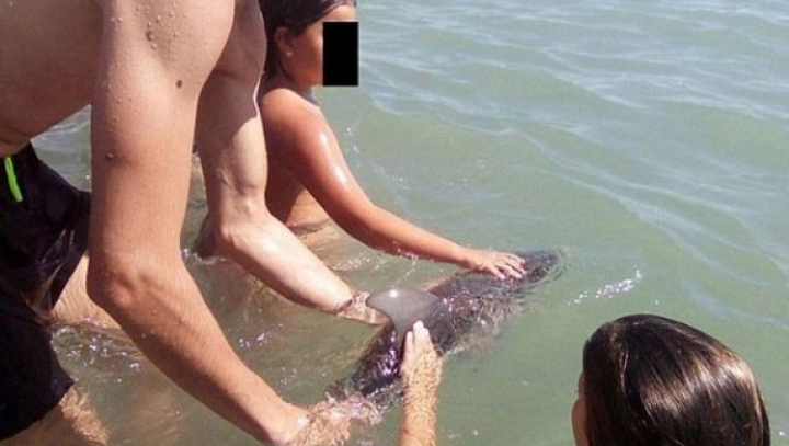 Un pui de delfin A MURIT pentru ca zeci de oameni să se pozeze cu el (FOTO)