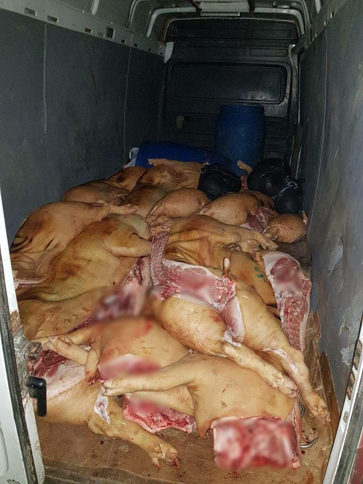 Carne de porc şi de bovină, fără acte de provenienţă, descoperită în preajma Pieţei Centrale (FOTO)