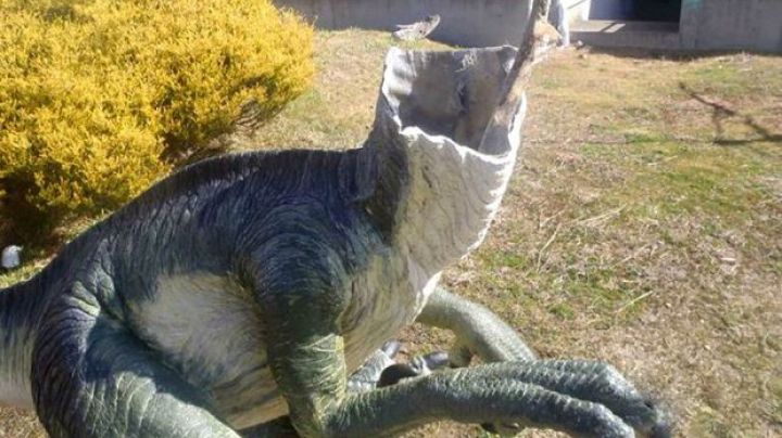 De necrezut! Mai mulți dinozauri au fost decapitați într-un muzeu din Australia (VIDEO)