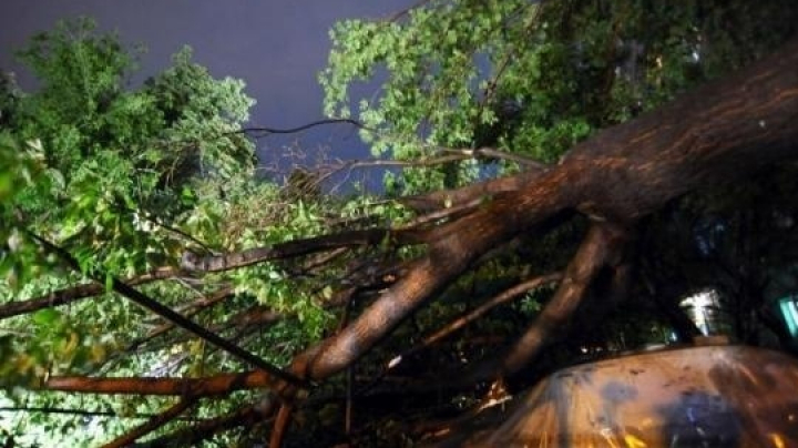 Cel puţin patru turişti au fost răniţi în urma unei furtuni în apropiere de Veneţia (VIDEO)