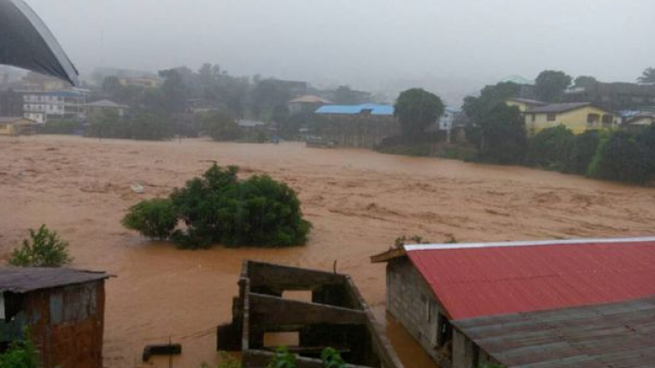 Bilanț dramatic în urma alunecărilor de teren din Sierra Leone: Peste 300 de morți