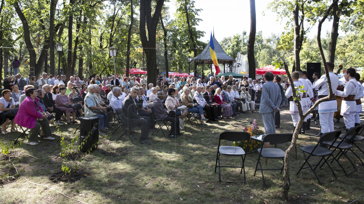 OMAGIU LIMBII ROMÂNE! Ce mesaje de felicitare au fost rostite astăzi şi ce spun cetăţenii ţării (FOTO)