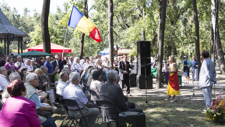 OMAGIU LIMBII ROMÂNE! Ce mesaje de felicitare au fost rostite astăzi şi ce spun cetăţenii ţării (FOTO)