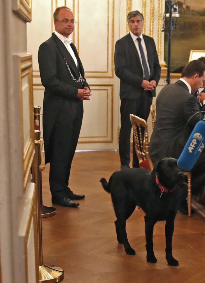 Cuplul Macron a adoptat un câine. Cum a numit preşedintele francez patrupedul 