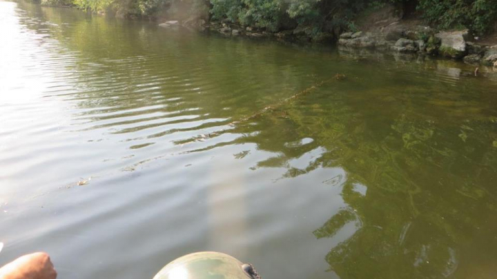 12 braconieri au primit amenzi după ce au fost prinşi pe lacul de acumulare Dubăsari (FOTO)