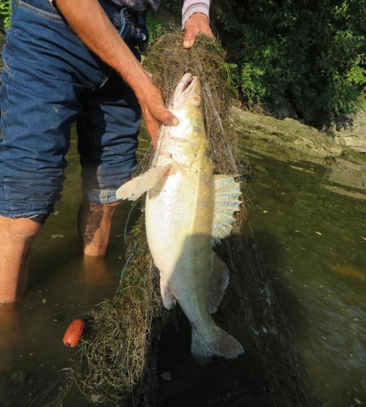 12 braconieri au primit amenzi după ce au fost prinşi pe lacul de acumulare Dubăsari (FOTO)