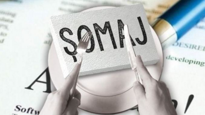 Şomajul a scăzut cu 15% în Moldova. Cei mai mulţi fără un loc de muncă sunt bărbaţii