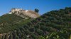 Malibu Rocky Oaks, cea mai căutată podgorie din lume. E UNICĂ şi te face să te simți cu capul în nori (FOTO)