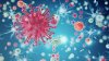 Oamenii de știință au dezvoltat un anticorp care ucide 99% din tulpinile HIV
