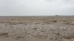 NO COMMENT: A DISPĂRUT OCEANUL în urma uraganului Irma (VIDEO)