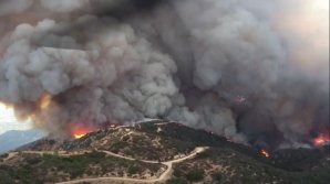 STARE DE URGENŢĂ la Los Angeles! Incendiile puternice au mistuit 3,5 hectare de pădure