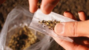 Un cetăţean al Moldovei, reţinut pentru că ar fi încercat să întroducă în Rusia substanţe narcotice