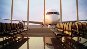 Un avion nu a decolat din cauza unei creaturi la bord. Pasagerilor le era frică să urce în aeronavă