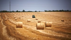 Agricultorii pot depune cererile de subvenţionare până la sfârşitul lunii octombrie