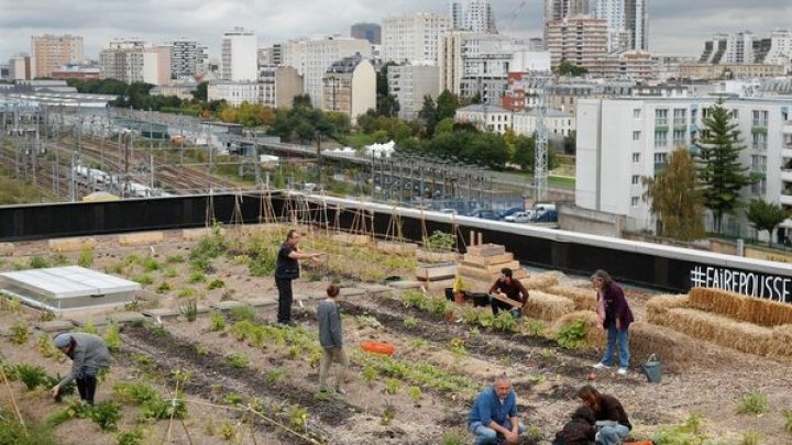 Proiectele ecologice în Franța au succes. Poștașii cultivă legume și cresc găini chiar pe acoperișul sediului Poștei din Paris