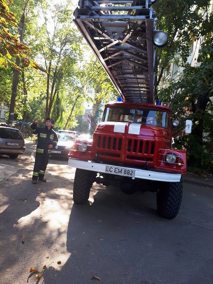 Gest demn de laudă! Pompierii au salvat o pisică de la înălțimea de 30 de metri (VIDEO)