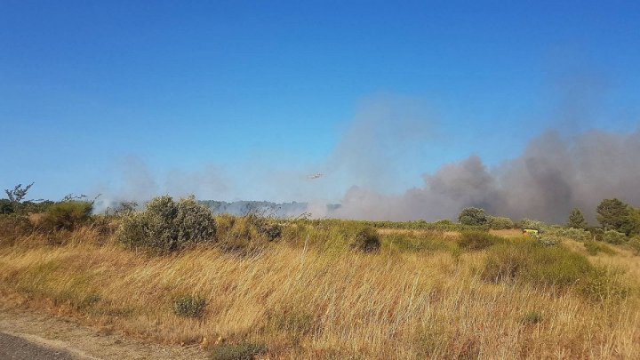 Incendii de vegetaţie în Franţa. Cel puţin 80 de persoane au fost evacuate