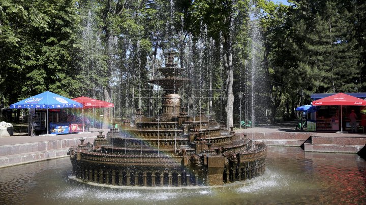 Misiune îndeplinită! Aproape toate gheretele din Parcul Central și parcul Catedralei au fost evacuate