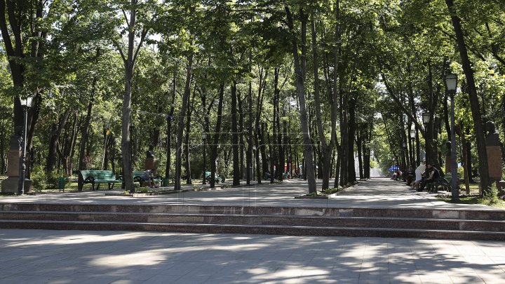 Misiune îndeplinită! Aproape toate gheretele din Parcul Central și parcul Catedralei au fost evacuate