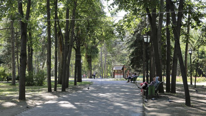 Misiune îndeplinită! Aproape toate gheretele din Parcul Central și parcul Catedralei au fost evacuate