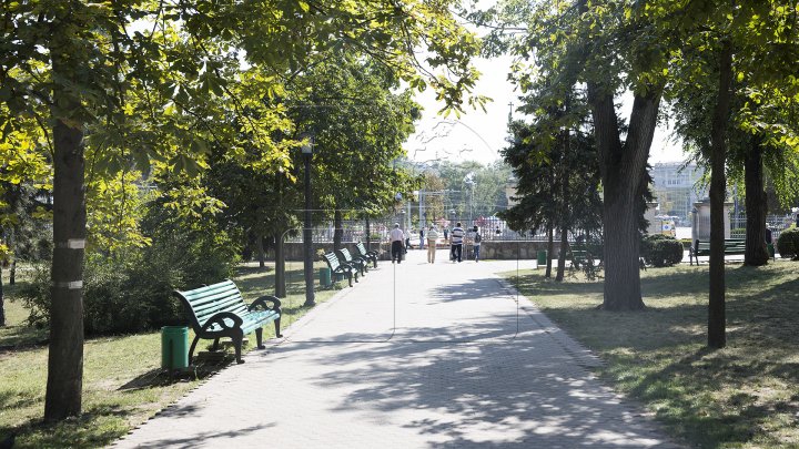 Misiune îndeplinită! Aproape toate gheretele din Parcul Central și parcul Catedralei au fost evacuate