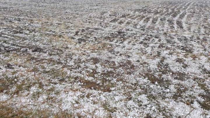 O ploaie cu grindină cât oul de găină a făcut prăpăd în nordul ţării. IMAGINI CARE TE ÎNFIOARĂ