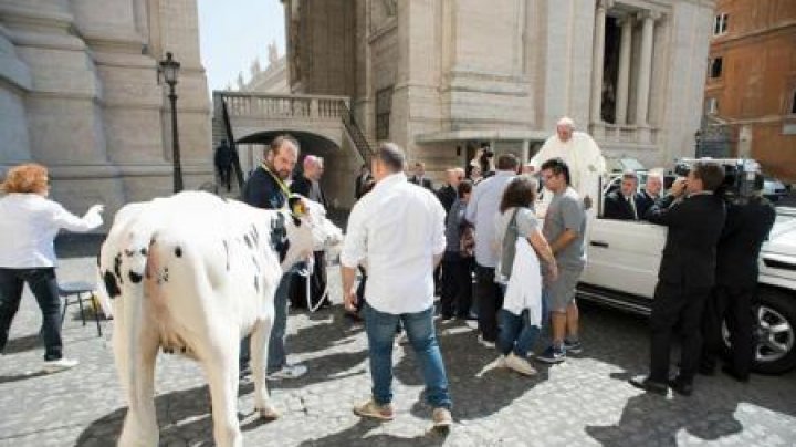 Papa Francisc a primit un cadou total neobişnuit. Ce va decide să facă pontiful cu acest dar (FOTO)