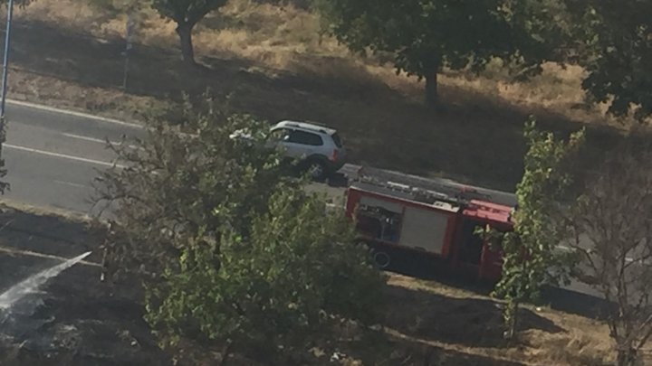 Incendiu de vegetaţie în curtea unui bloc de locuit din sectorul Buiucani (VIDEO/FOTO)