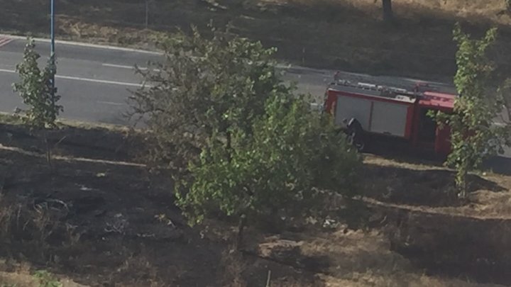 Incendiu de vegetaţie în curtea unui bloc de locuit din sectorul Buiucani (VIDEO/FOTO)