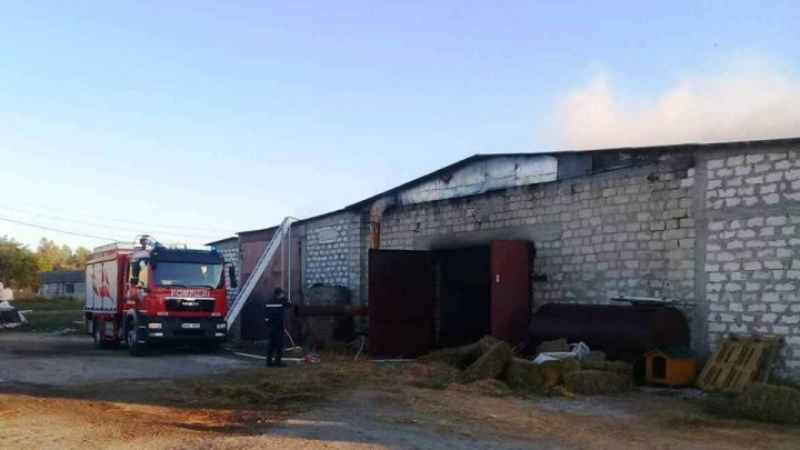 Incendiu la Orhei! Un depozit de paie şi rumeguş a luat foc (FOTO/VIDEO)