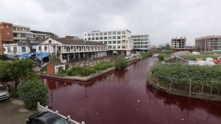 Râu de sânge într-un oraș din China. Ce ar fi provocat acest DEZASTRU ECOLOGIC (VIDEO)