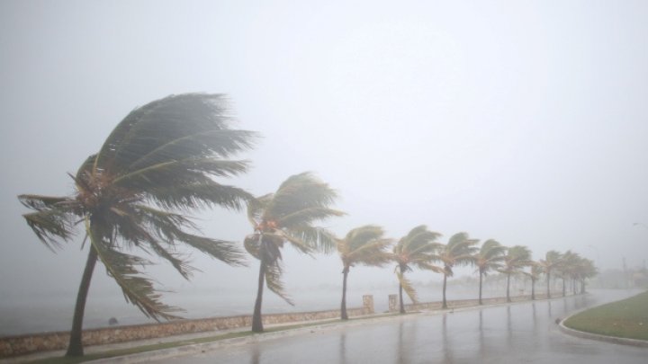 Sume uriaşe! Cât va costa economia SUA uraganul Irma