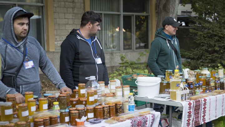 Tradiţie respectată cu sfinţenie. Festivalul Tulburel 2017 a adunat zeci de doritori de a gusta vinuri noi