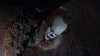 Filmul horror "It" a revenit pe primul loc în box office-ul nord-american
