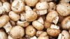 Sute de kilograme de pomușoare şi ciuperci contaminate cu substanţe radioactive, confiscate de pe pieţele din Moscova