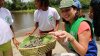 Cinci mii de ţestoase Taricaya, specie pe cale de dispariţie, au ajuns într-o zonă protejată din bazinul râului Amazon