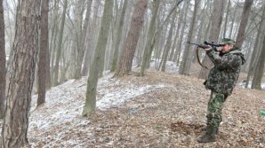 VESTE BUNĂ! Vânătorii au mână liberă pentru mistreţi. Anul acesta pot împuşca cel mult 420 de animale