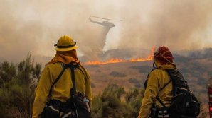 CALIFORNIA, MISTUITĂ DE FOC. Cel puțin 31 de oameni au fost uciși în ultima săptămână