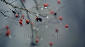 METEO 14 octombrie. Vreme frumoasă de hramul oraşului. Câte grade vor indica termometrele