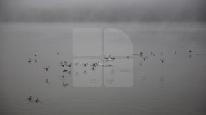 Vreme şi mai rece şi ploi. Care vor fi maximele termice în următoarele zile