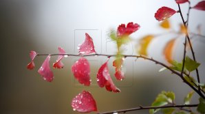 METEO 9 octombrie: Cer variabil şi frig. Pentru următoarele zile sinopticienii au veşti bune