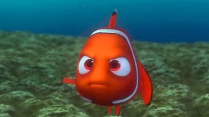 Specia renumitului pește Nemo, este în pericol. Care sunt motivele dispariției