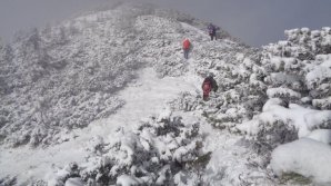 PUBLIKA WORLD: A venit iarna în România. Drumuri blocate, trenuri întârziate (VIDEO)